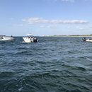 Buscan avioneta que cayó al mar cerca de Sarasota, Florida con dos personas a bordo