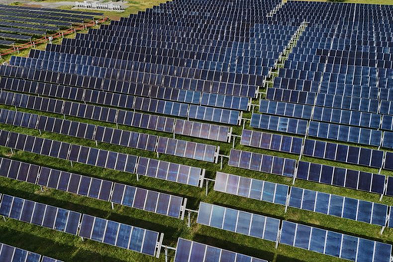 Paneles solares en una granja en Christiana, Tennessee, el 28 de abril de 2026. (Foto AP/Joshua A. Bickel, Archivo)