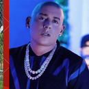 El Cantante de Reggaeton Cosculluela enfrenta la justicia por atropello de dos jinetes en Puerto Rico