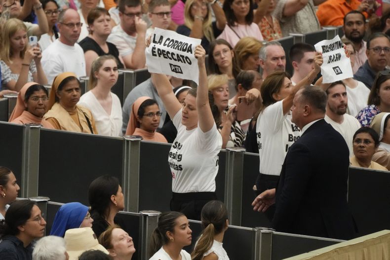 Dos manifestantes con camisetas que dicen dejen de bendecir las corridas sostienen carteles con el mensaje las corridas son pecado durante la audiencia general del papa Francisco en el salón Pablo VI del Vaticano, el miércoles 7 de agosto de 2024. (AP Foto/Gregorio Borgia)