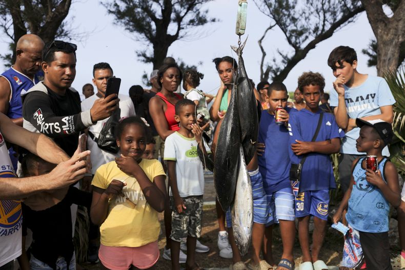 La gente observa los peces capturados durante el torneo local de pesca de marlin de Hemingway en Cojimar, Cuba, el domingo 5 de mayo de 2024. Los residentes de Cojimar, el pueblo pesquero donde vivía el autor, todavía recuerdan al ilustre residente y celebran la ocasión con una fiesta callejera y pesca. (AP Foto/Ariel Ley)