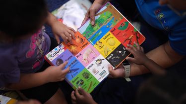 Varios niños observan un libro de primeras paralabras en una escuela infantil Head Start en Immokalee, Florida, el 10 de septiembre de 2026. (AP Foto/Rebecca Blackwell)