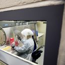 EEUU: Unidad de inteligencia médica advirtió de coronavirus