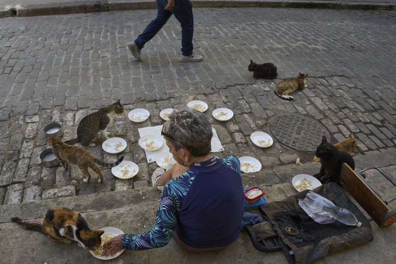 Nélida Pérez alimenta gatos callejeros en La Habana, el jueves 24 de julio de 2025. (AP Foto/Ramón Espinosa)