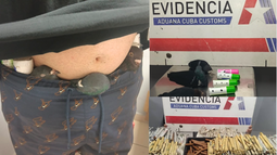 aduana de cuba incauta casi 2 mil tabacos y palomas vivas ocultas rumbo a eeuu en la habana aduana de cuba incauta casi 2 mil tabacos y palomas vivas ocultas rumbo a eeuu en la habana