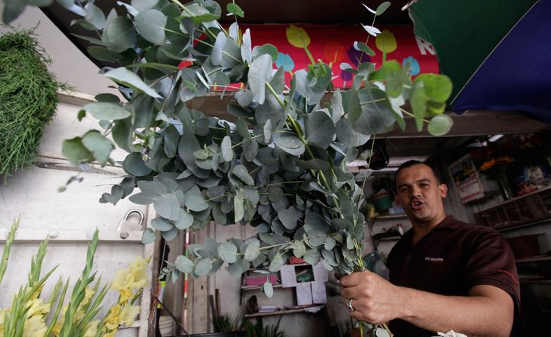 Pañales de tela, bicarbonato para desodorante y vinagre para limpiar el piso. No es la lista de la compra de un joven medioambientalista. Es una muestra sobre cómo una creciente cantidad de venezolanos adinerados enfrentan un periodo de severa escasez.