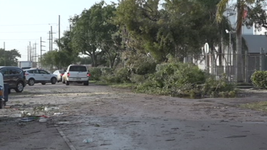 continuan las labores de recuperacion tras tornado en el sur de la florida