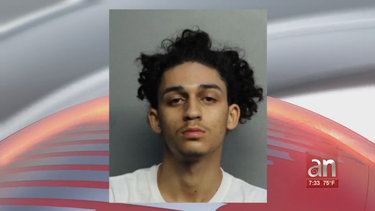en corte uno de jovenes que protagonizo persecucion policial en miami beach