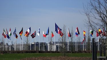 ARCHIVO - Banderas de los países miembros de la OTAN afuera de la sede de la alianza militar en Bruselas, el 14 de marzo de 2024. (AP Foto/Virginia Mayo)