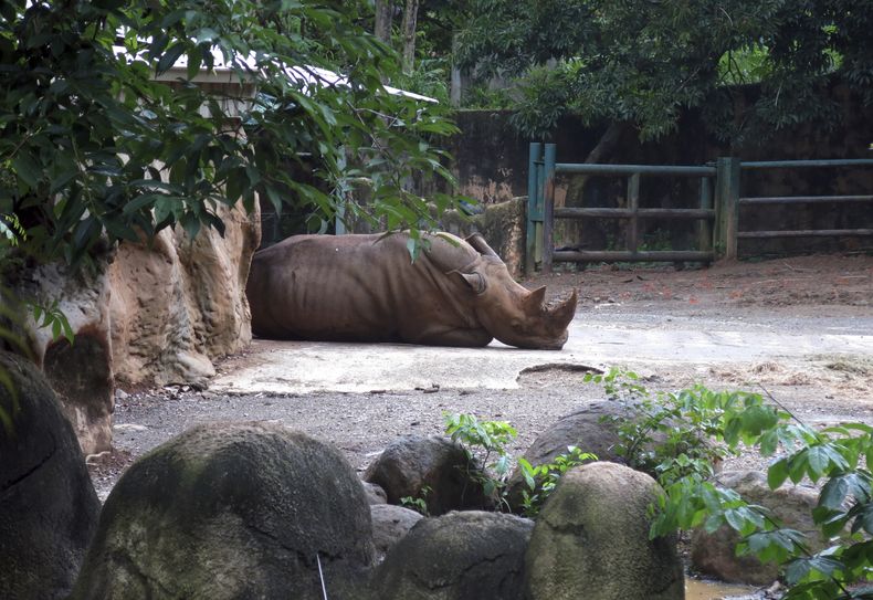 CAR-GEN PUERTO RICO-ZOOLÓGICO CLAUSURA