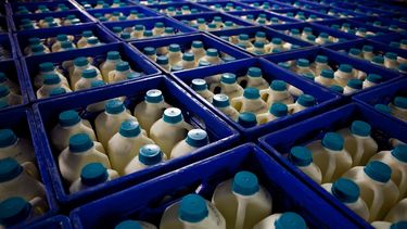 secretario de agricultura anuncia un aumento en el precio de la leche fresca