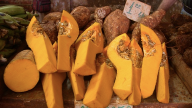 cuba: ante la escasez de alimentos, prensa oficialista recomienda semillas de calabaza como antiparasitario