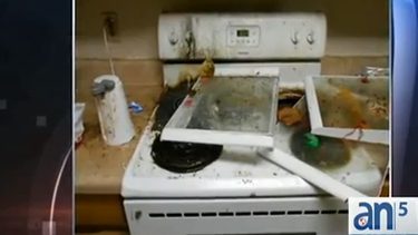 americateve | Lo que verá a continuación los va a dejar con la boca abierta?.son imágenes de la vivienda de una mujer que vive en Orlando quien junto a sus hijos vivió años en condiciones prácticamente infrahumanas.