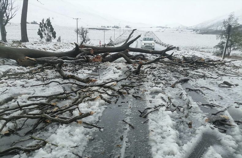 La nieve cubre la carretera N2 hacia Nolangeni, Sudáfrica, el 10 de junio del 2025. (Municipalidad de Kokstad via AP)