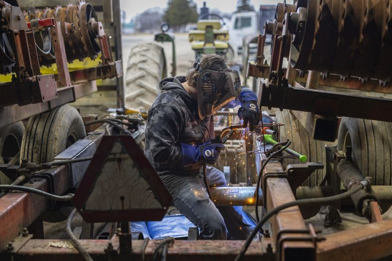 Devon Wells, un estudiante en la escuela secundaria Perry Central High School, en su trabajo en Halo Farms el 12 de marzo del 2025 en Perry, Nueva York (AP foto/Lauren Petracca)