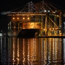ARCHIVO - El carguero Ever Libra atraca en el puerto de Los Ángeles, el 21 de noviembre de 2022. (AP Foto/Damian Dovarganes, archivo)