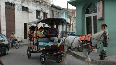 cuba vuelve a la traccion animal en medio de crisis energetica