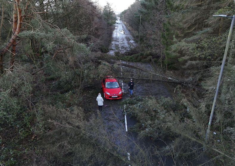 Un automóvil atascado por árboles caídos tras la tormenta en Larbert, Escocia, el 25 de enero del 2025. (Andrew Milligan/PA via AP)