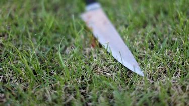 Decapitan a un cuidador de caballos en La Habana