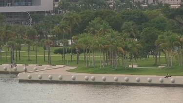 comision de miami analiza quien administrara el terreno cercano al perez museum