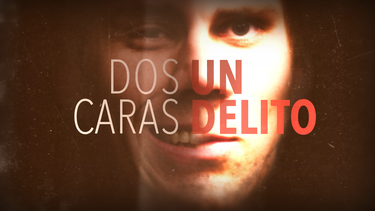 dos caras un delito: testimonios de delincuentes sexuales