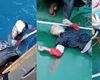 DESGARRADOR: captan el rescate de un balsero cubano a punto de morir ahogado 