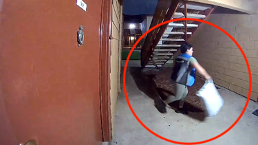 repartidora cubana de amazon lanza un paquete y se vuelve viral: si esta roto, llama a amazon