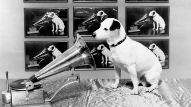 la historia de nipper, el famoso perro de la musica y la radio