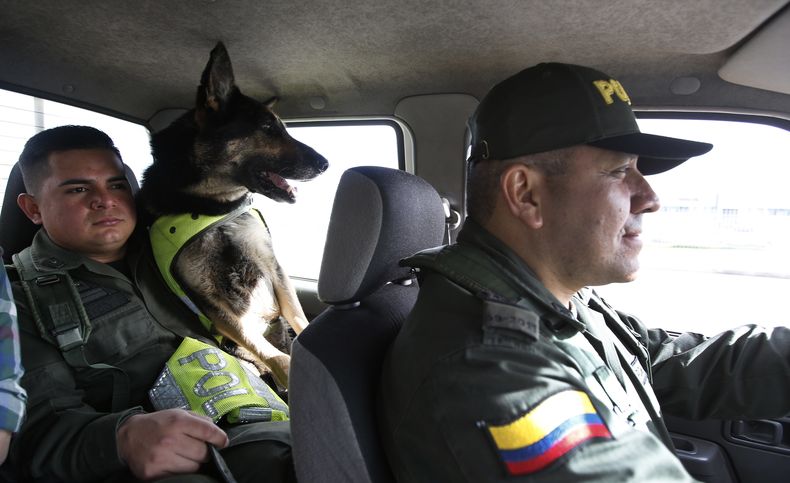 REP-GEN_COLOMBIA-PERRA_POLICIA-0.jpg