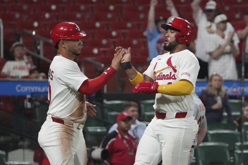 El panameño Iván Herrera celebra con el venezolano Willson Contreras de los Cardenales de San Luis tras anotar en la séptima entrada ante los Tigres de Detroit el lunes 19 de mayo del 2025. (AP Foto/Jeff Roberson)