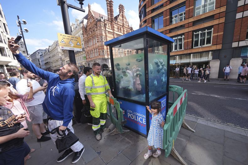 Un hombre se toma una selfie furente a una obra de peces de Banksy, que apareció en una cabina de policía en la ciudad de Londres, es acordonada en Londres, el lunes 12 de agosto de 2024. (Emily Pennink/PA vía AP)