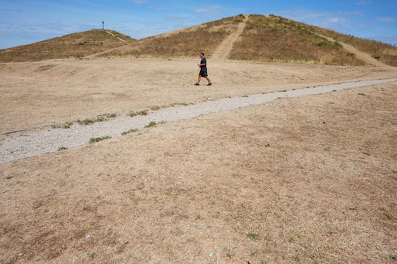 Un hombre camina por un pasto seco en un parque durante una sequía en Londres, el domingo 9 de agosto de 2026. (AP Foto/Kirsty Wigglesworth)