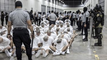 En esta fotografía proporcionada por la oficina de prensa de la presidencia de El Salvador, guardias penitenciarios trasladan a presuntos pandilleros venezolanos, deportados de Estados Unidos, al Centro de Confinamiento del Terrorismo (CECOT), en Tecoluca, El Salvador, el domingo 16 de marzo de 2025. (Oficina de prensa de la presidencia de El Salvador vía AP)
