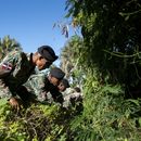 Personal militar busca a Sudiksha Konanki, estudiante universitaria estadounidense que desapareció en una playa de Punta Cana, República Dominicana, el lunes 10 de marzo de 2025. (AP Foto/Francesco Spotorno)