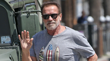 arnold schwarzenegger asegura que la dieta 80% vegana que sigue ha sido fundamental para seguir en forma a los 74 anos