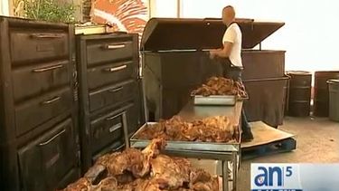 Cómo preparar un rico lechón