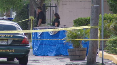 investigan tiroteo que dejo un muerto y dos heridos en broward