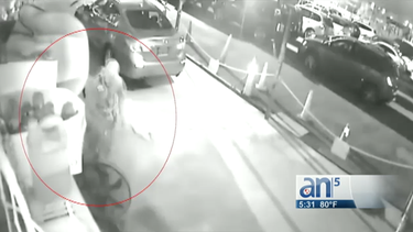 captado en camara ladron de un dealer de carros en miami