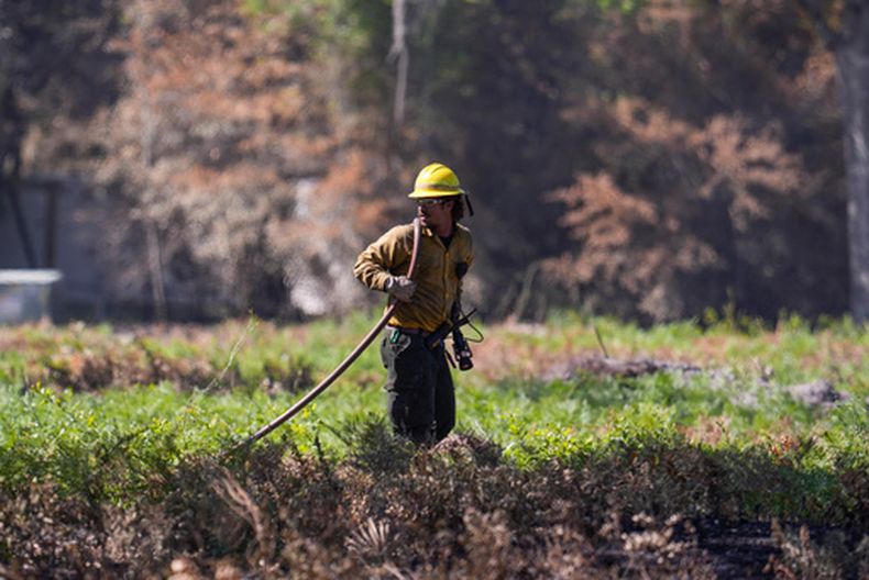 Un bombero trabaja en el incendio de la Carretera 82 en Brantley, el jueves 23 de abril de 2026, cerca de Nahunta, Georgia. (AP Foto/Mike Stewart)