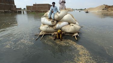 Provincia paquistaní enfrenta poco apoyo tras inundaciones