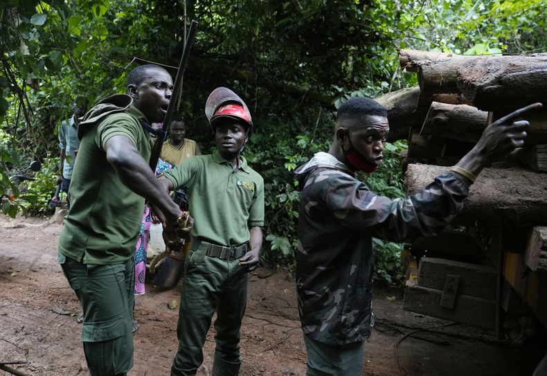 Tres guardabosques discuten con taladores ilegales cerca de un camión cargado con troncos el miércoles 2 de agosto de 2023, en el interior de la Reserva de la Biósfera del Omo, Nigeria. (AP Foto/Sunday Alamba)