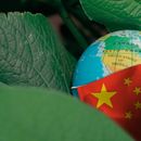 OPINION: Grupo verde que asesora a Joe Biden tiene vínculos con China