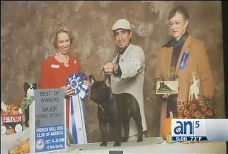 Un criador de perros de raza se encuentra devastado luego de que varios de sus animales fueron robados mientras celebraba la llegada del nuevo año.