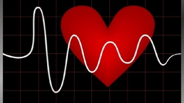 ¿que tanto dice tu sexualidad de tu corazon?