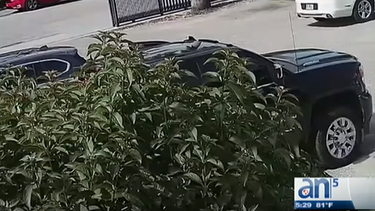 policia de miami dade tras la pista del ladron del versailles.