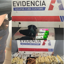 Aduana de Cuba incauta casi 2 mil TABACOS y PALOMAS vivas ocultas rumbo a EEUU en La Habana