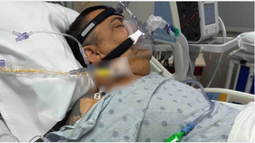 cineasta cubano lester hamlet se recupera tras cirugia de corazon abierto y lanzan campana de ayuda cineasta cubano lester hamlet se recupera tras cirugia de corazon abierto y lanzan campana de ayuda