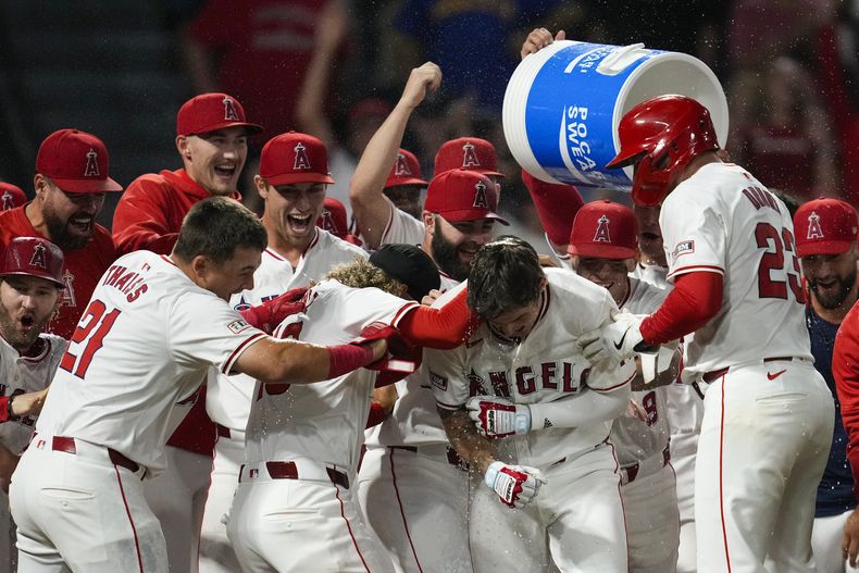 Mickey Moniak (16) de los Angelinos de Los Ángeles celebra junto a sus compañeros de equipo luego de impactar un jonrón para dejar tendido en el terreno durante la novena entrada del juego de béisbol ante los Marineros de Seattle, en Anaheim, California, el sábado 31 de agosto de 2024. (AP Foto/Ashley Landis)