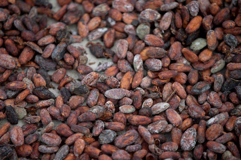 REP-GEN_VENEZUELA-CHOCOLATE-1.jpg