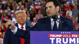 the new york times: trump elige a marco rubio como secretario de estado